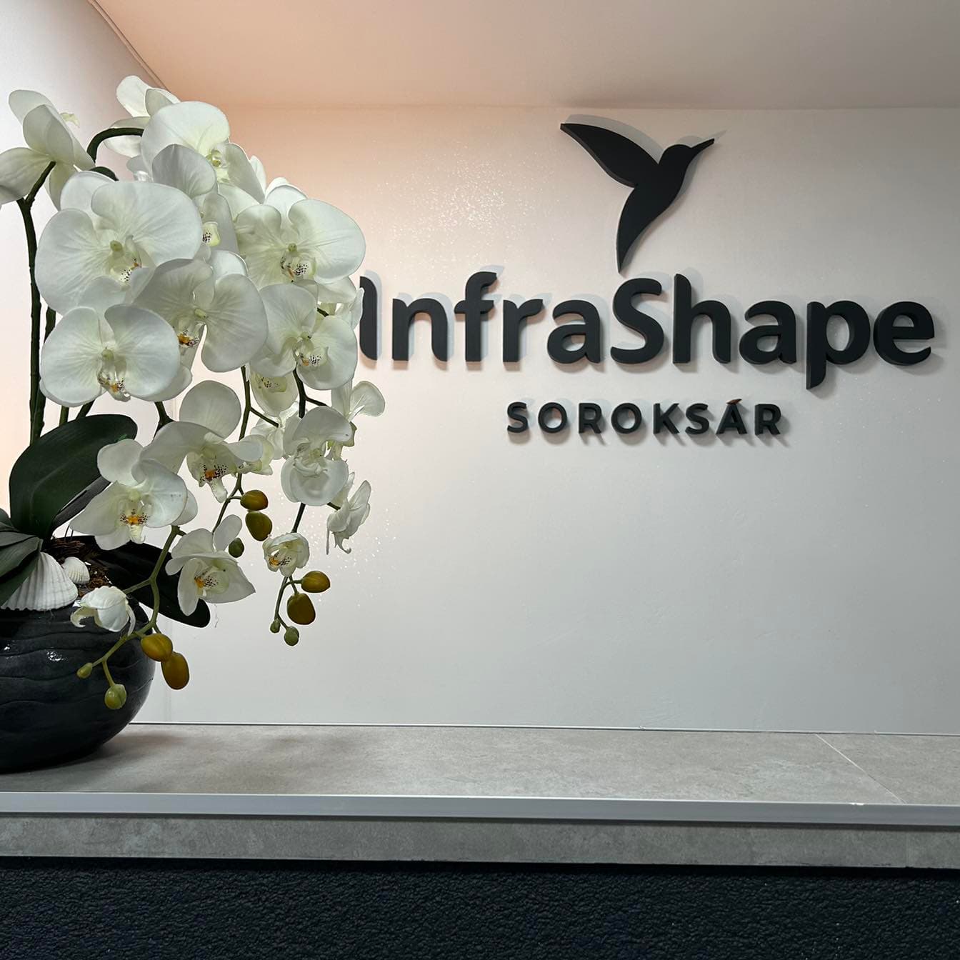 Soroksár Infrashape
